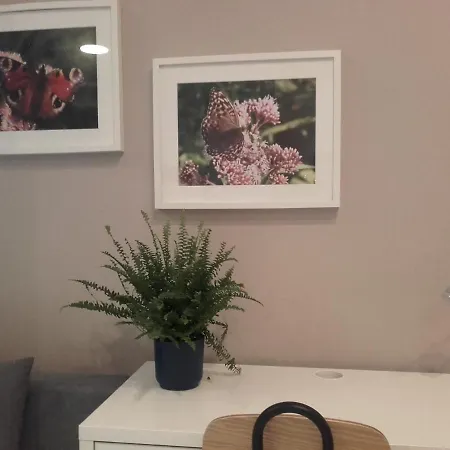 Studio Pomorska Apartament