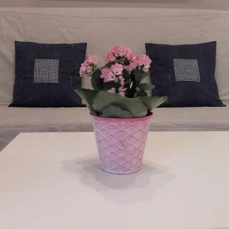 Lägenhet Studio Pomorska *