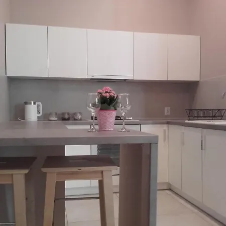 Studio Pomorska 公寓