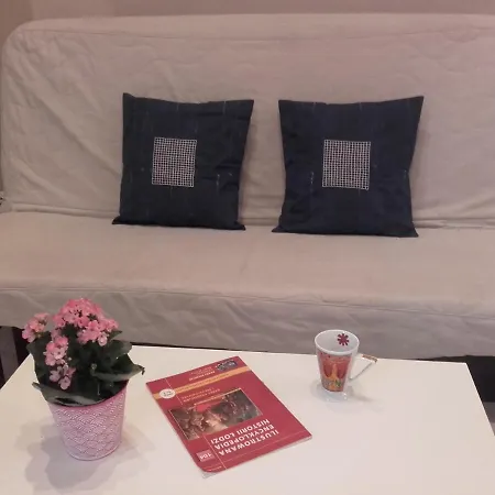 Apartament Studio Pomorska Łódź