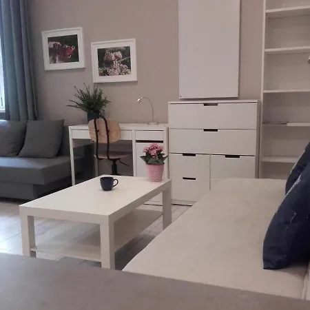 Studio Pomorska 公寓 罗兹