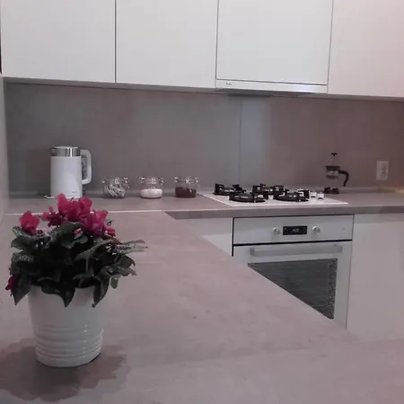 Studio Pomorska 罗兹