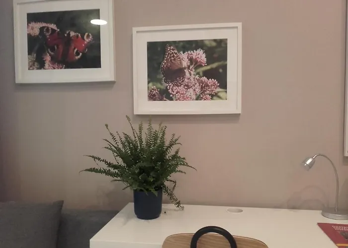 Studio Pomorska Appartement