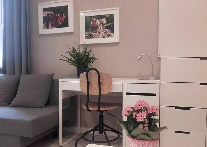 Studio Pomorska Lägenhet Łódź